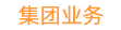 集团业务